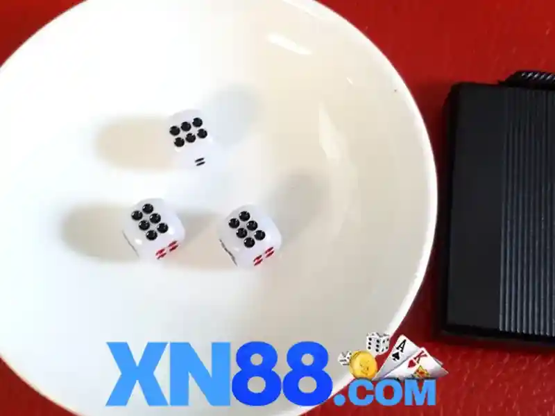 XN88 — Đánh giá tổng quan và hướng dẫn sử dụng