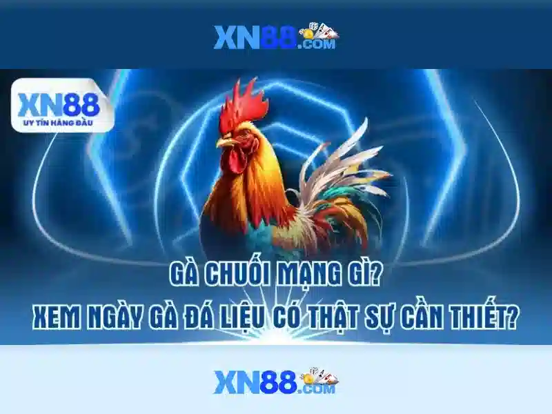 xn88 còn - Hành trình thương hiệu và trải nghiệm người dùng