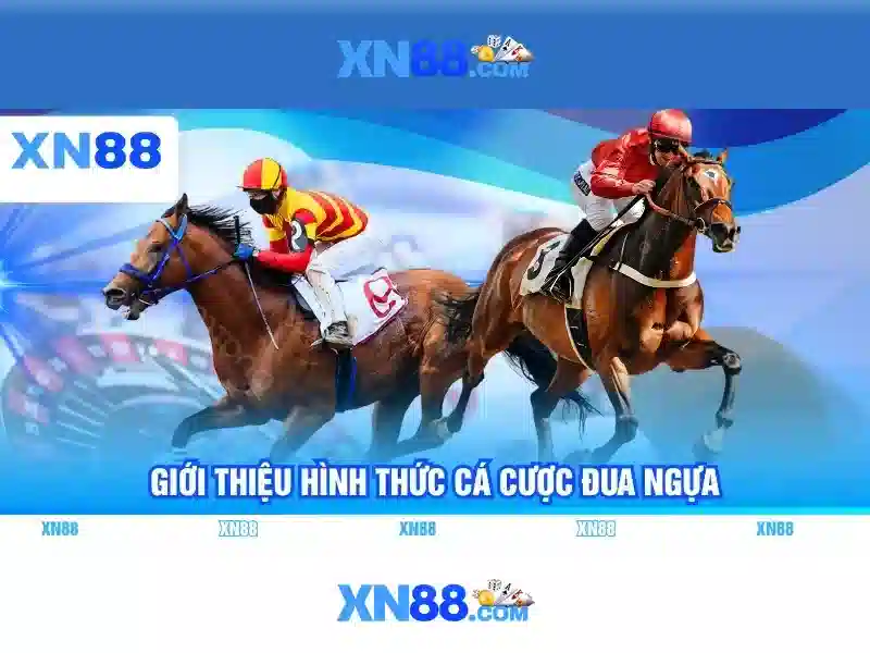 XN88: Nền tảng trực tuyến và trải nghiệm giải trí an toàn