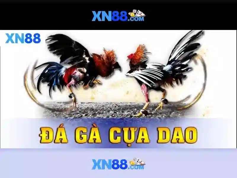 xn88 nổ hủ – Trải nghiệm đột phá và giải pháp số
