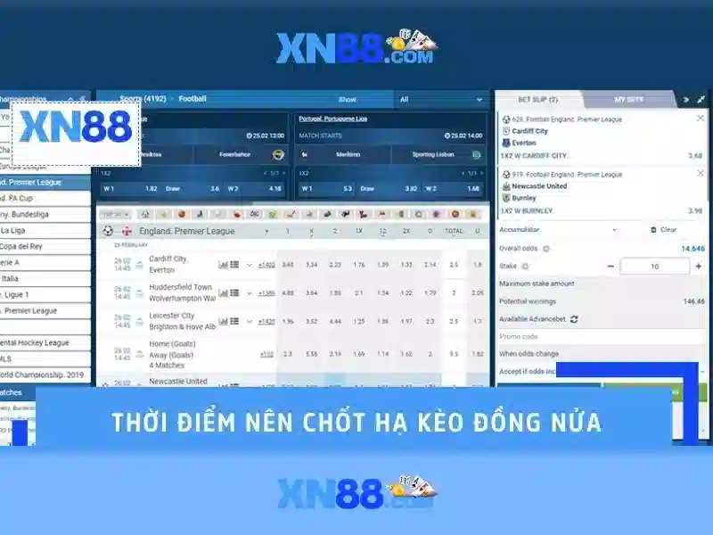 Nhà cái xn88 đỉnh cao trải nghiệm và đánh giá
