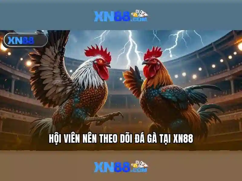 Khám phá xn88: Nền tảng cá cược trực tuyến và các trò chơi hàng đầu