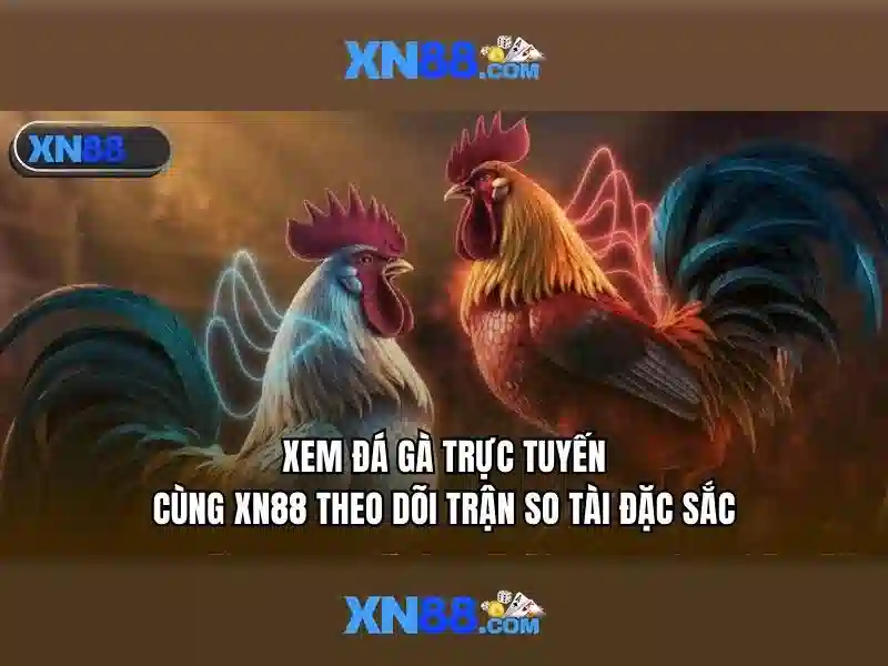 xn88 jpn.com: Nền tảng cá cược trực tuyến uy tín