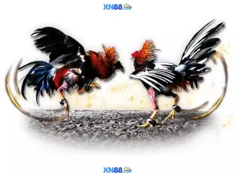 xn88 là gì và các góc nhìn về nền tảng giải trí trực tuyến