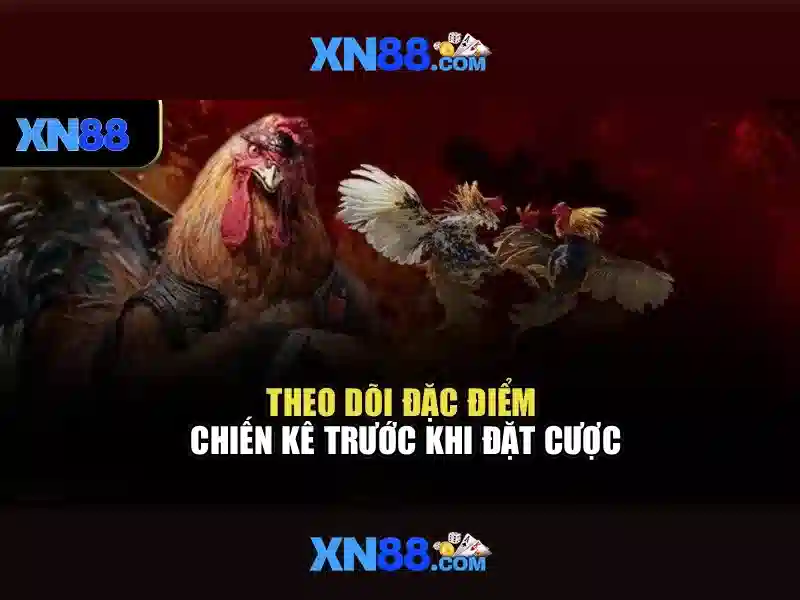 xn88: Đánh giá tổng quan và mẹo chơi