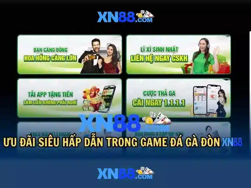 XN88: Tổng quan về nền tảng giải trí và cược trực tuyến