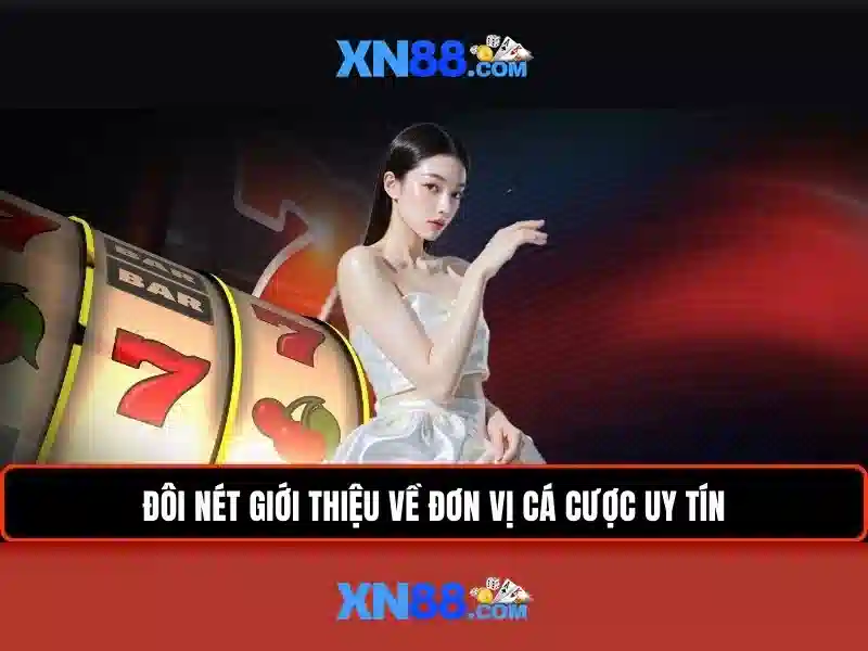 xn88 và hành trình của một nền tảng cá cược trực tuyến