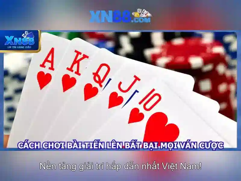 xn88: Tổng quan về nền tảng cá cược và trải nghiệm người dùng