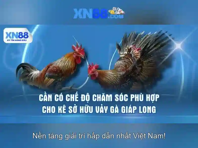 xn88: Nền tảng trò chơi trực tuyến và đánh giá an toàn