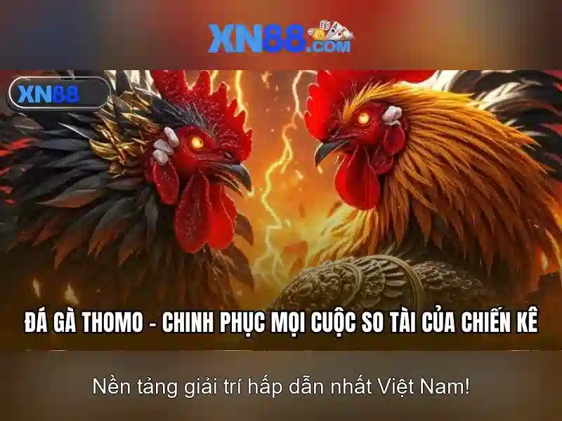 XN88: Khám phá nền tảng chơi game trực tuyến đầy tiềm năng