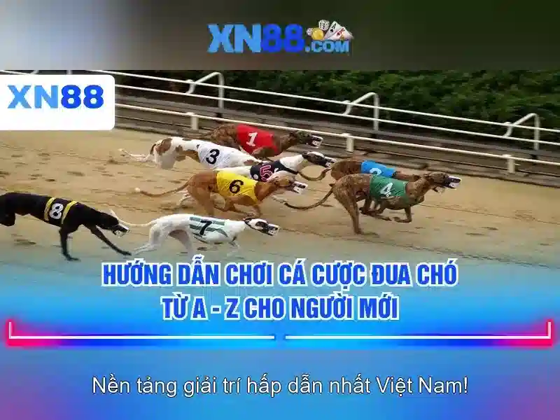 xn88: Tổng quan về nền tảng giải trí và trò chơi trực tuyến