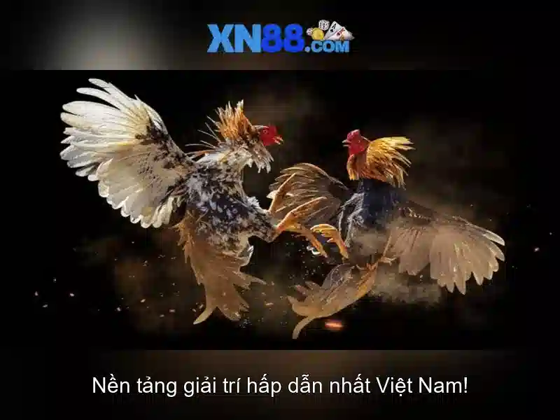 xn88 la gi va tai sao noi bat