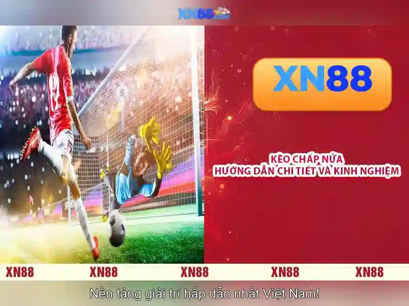 xn88: một cái nhìn tổng quan