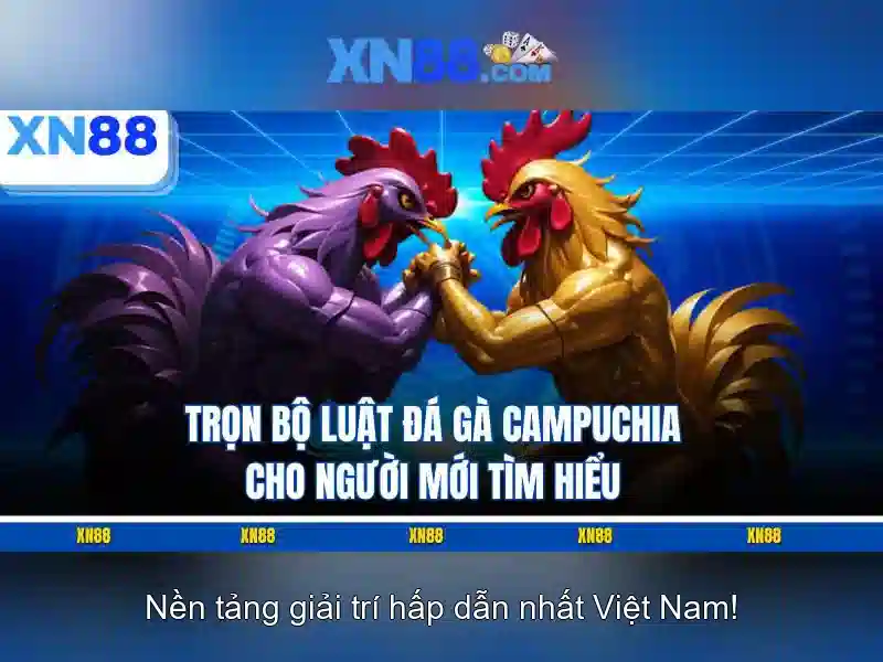 XN88 - Nen tang giai tri va ca cuoc truc tuyen