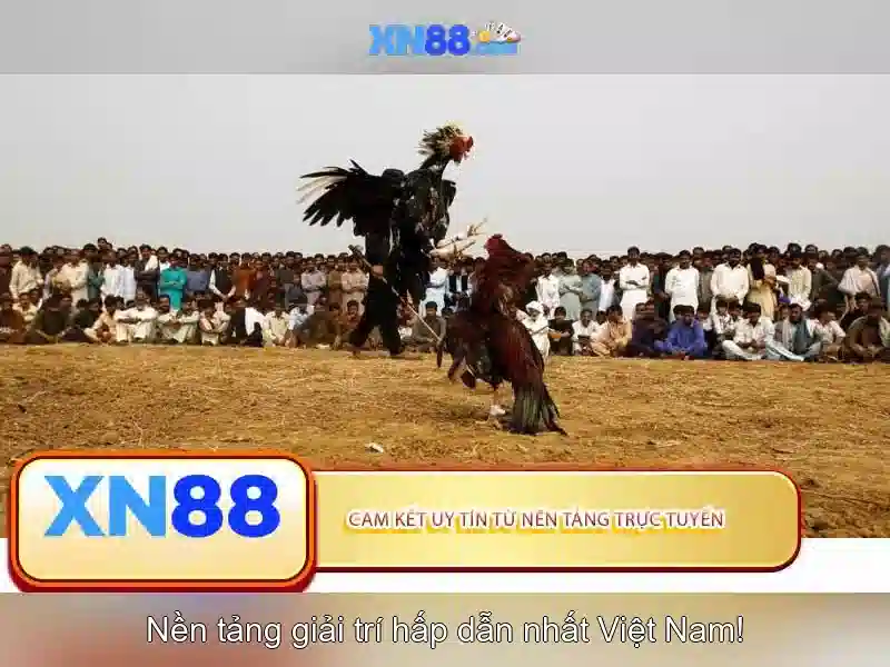 xn88 . com – Khám phá giá trị thương hiệu