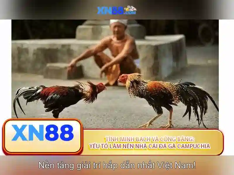 XN88: Nền tảng cá cược trực tuyến an toàn và hiện đại
