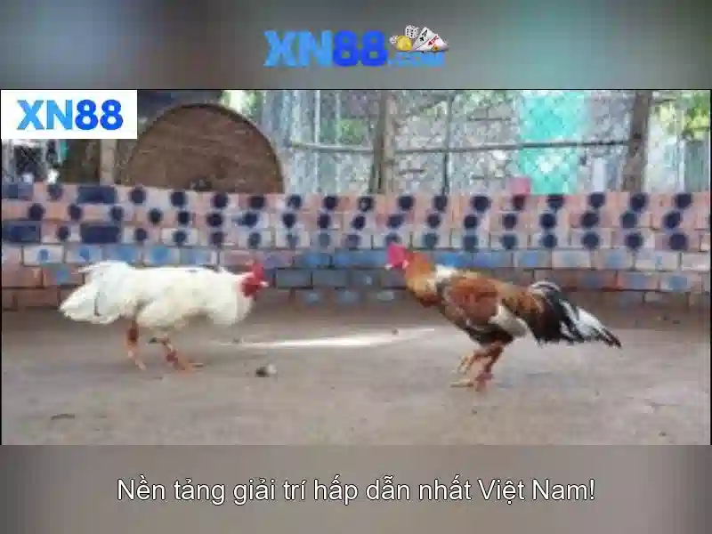 XN88: Nền tảng trò chơi trực tuyến và đánh giá chi tiết
