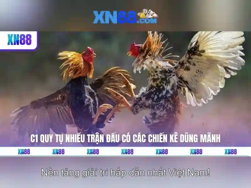 xn88 - Tổng quan về nền tảng cược và trò chơi trực tuyến